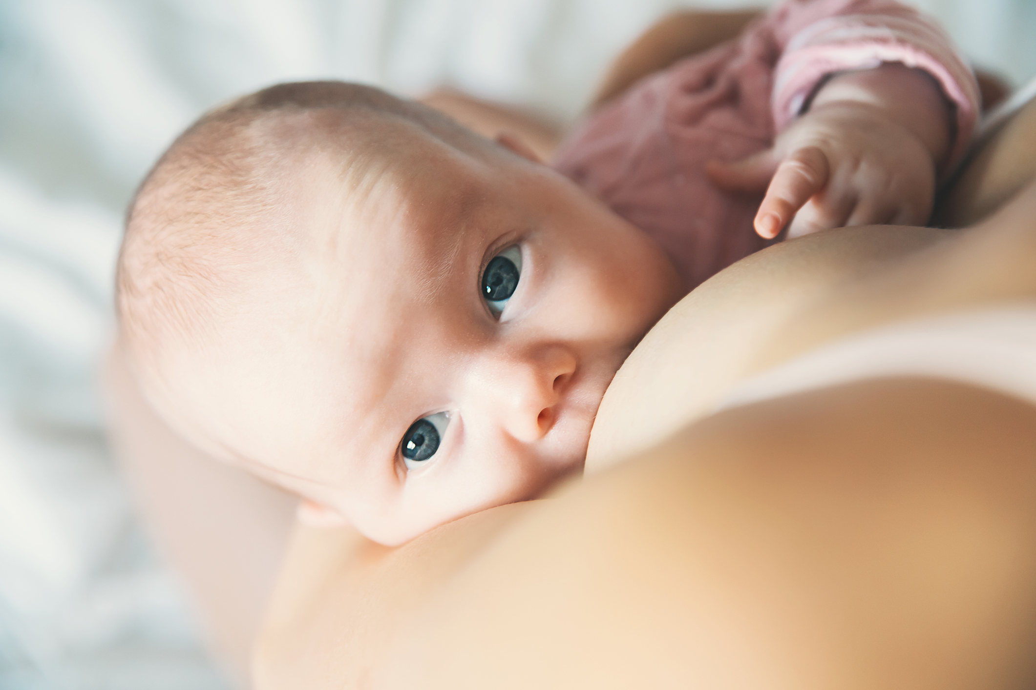 Baby and mother's milk. Mother breastfeeding baby.