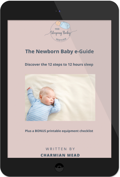 the newborn baby e-guide shown inside an iPad